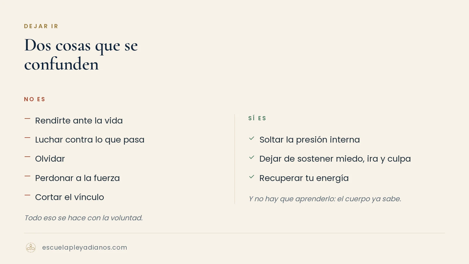 Lo que dejar ir no es —rendirse, luchar, olvidar, perdonar a la fuerza, cortar— y lo que sí es: soltar la presión interna, dejar de sostener miedo, ira y culpa, recuperar tu energía